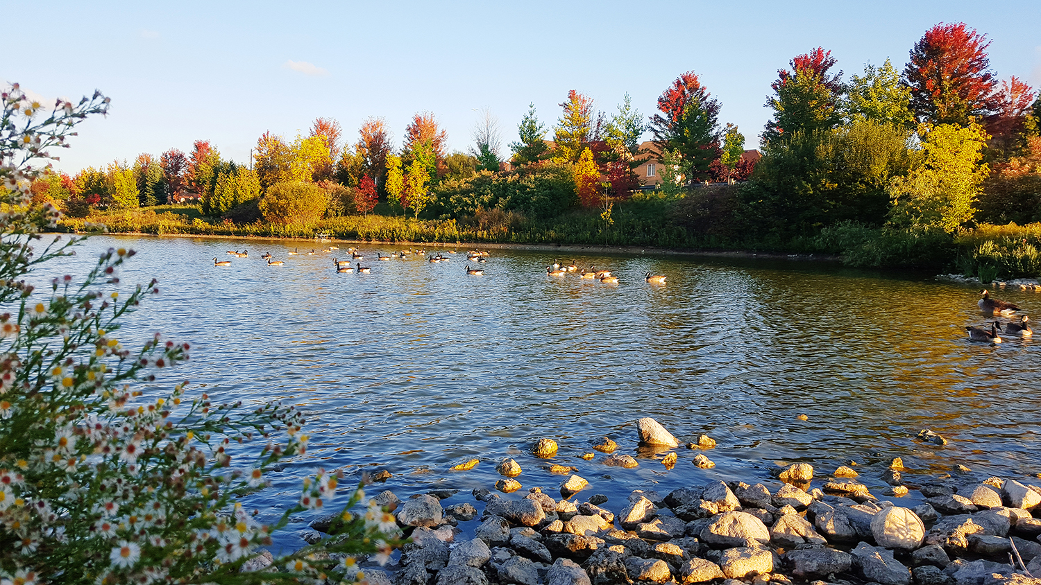 lake | Photographer Jun Richmond Vancouver BC